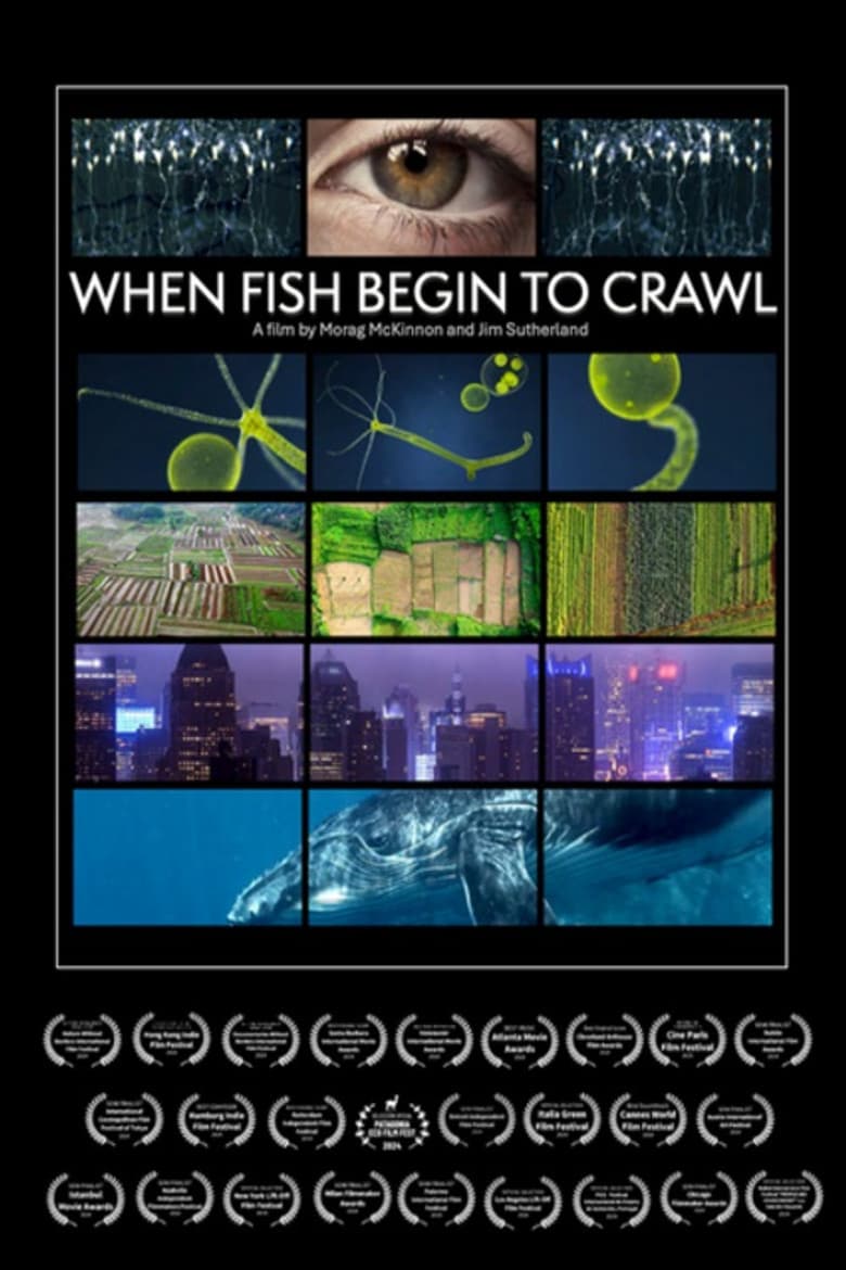 When Fish Begin to Crawl poster
