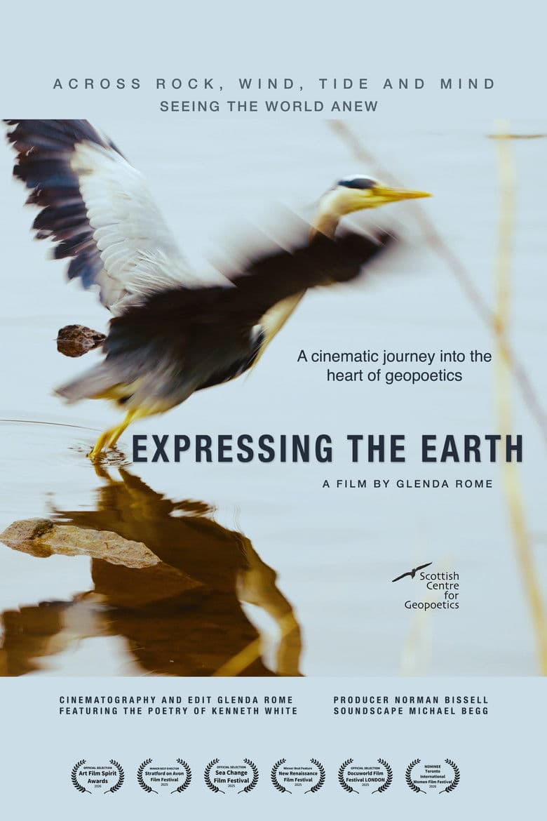 Expressing the Earth poster