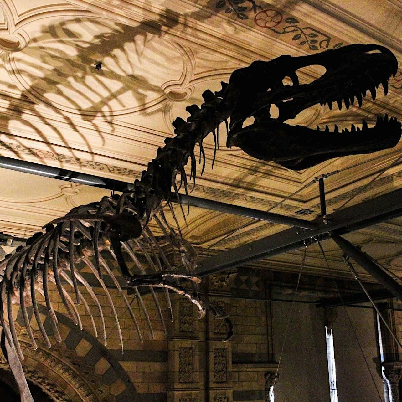 Natural History Museum London: Semi-Private Guided Tour — gallery 1
