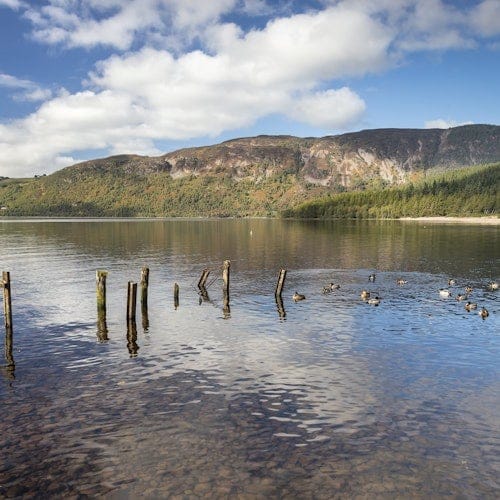 The Complete Loch Ness Experience: Day Tour from Inverness — gallery 3
