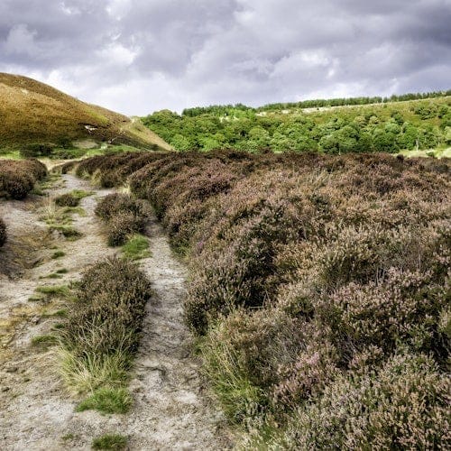 Whitby & The North York Moors: Day Trip from York — gallery 1