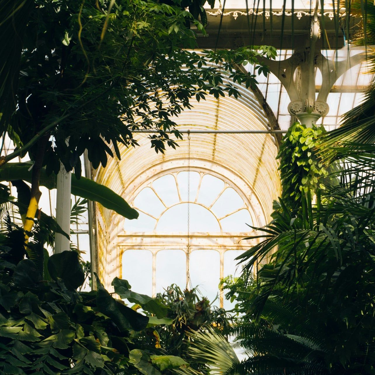 Kew Gardens + Kensington Palace: Entry Ticket — gallery 3