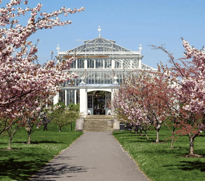 Kew Gardens: Entry Ticket — gallery 2