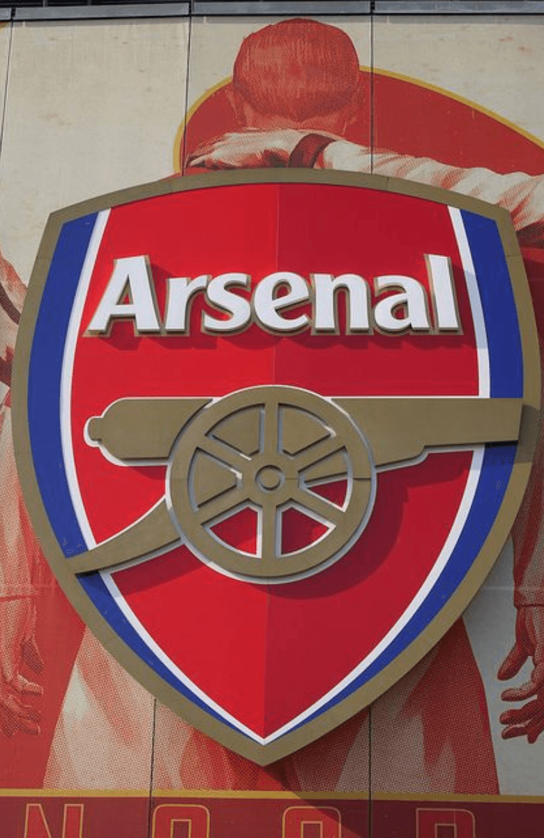 Arsenal FC Stadium Tour with Audio Guide — portrait