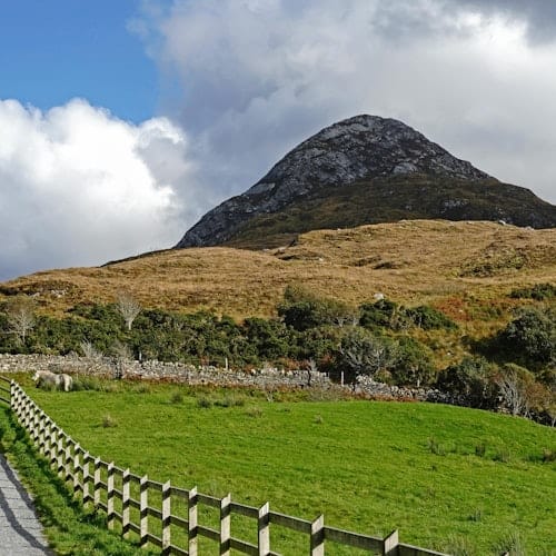 Galway to Connemara National Park and Diamond Hill Full Day Tour — gallery 1