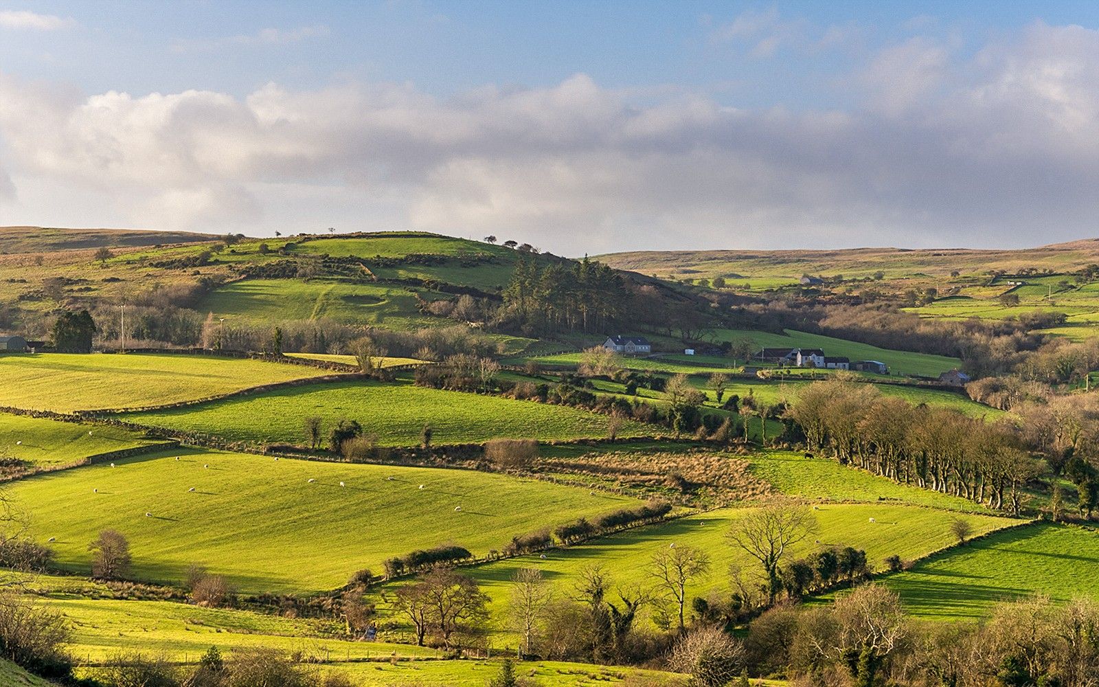 From Belfast: Game of Thrones Filming Locations Full-Day Guided Tour — mobile
