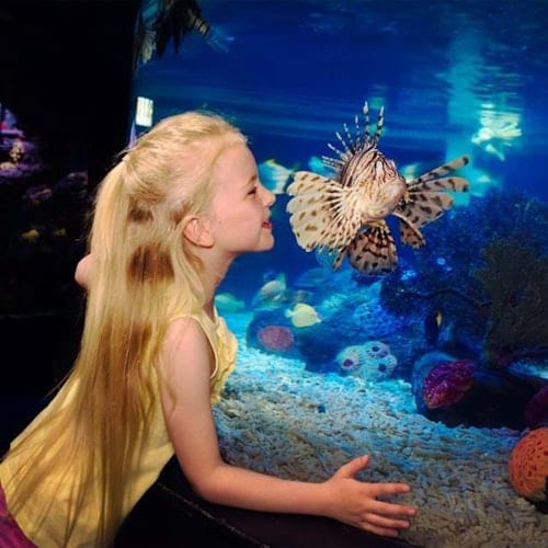 SEA LIFE Manchester: Entry Ticket — gallery 1