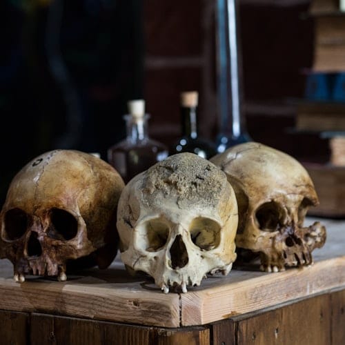 Sick To Death: Entry Ticket — gallery 4