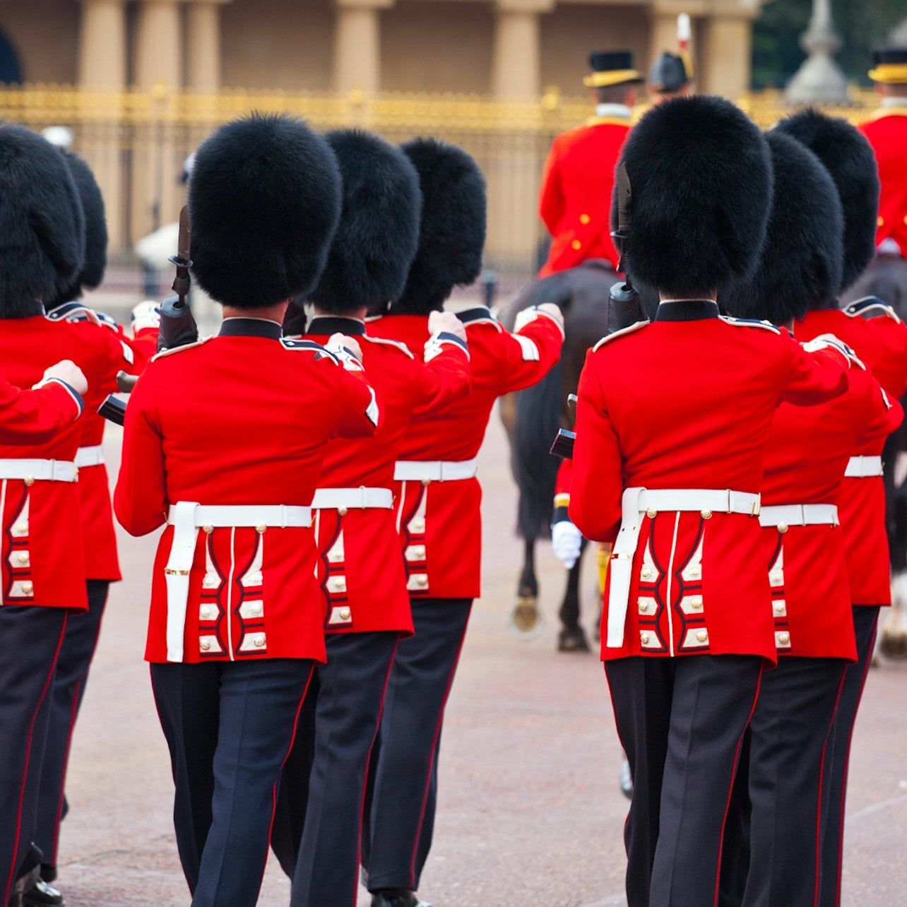 Changing of the Guard: Guided Tour — main image