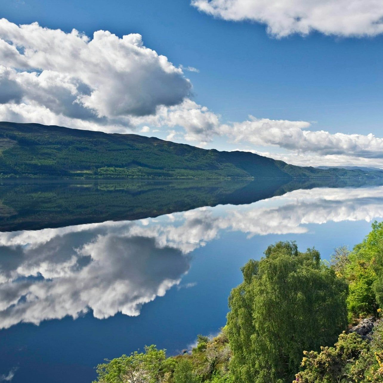 Loch Ness Explorer