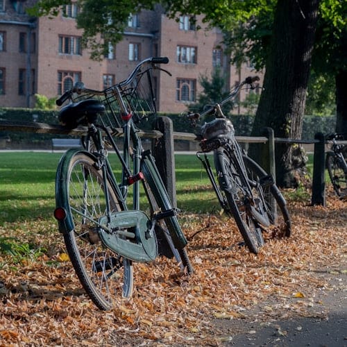 Cambridge University Walking Tour — portrait