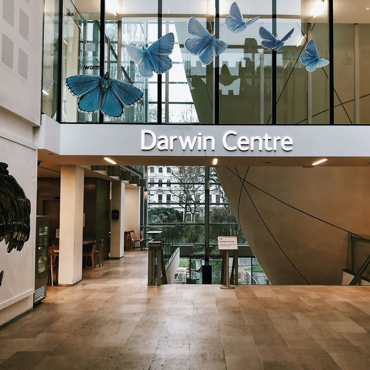 Natural History Museum London: Semi-Private Guided Tour