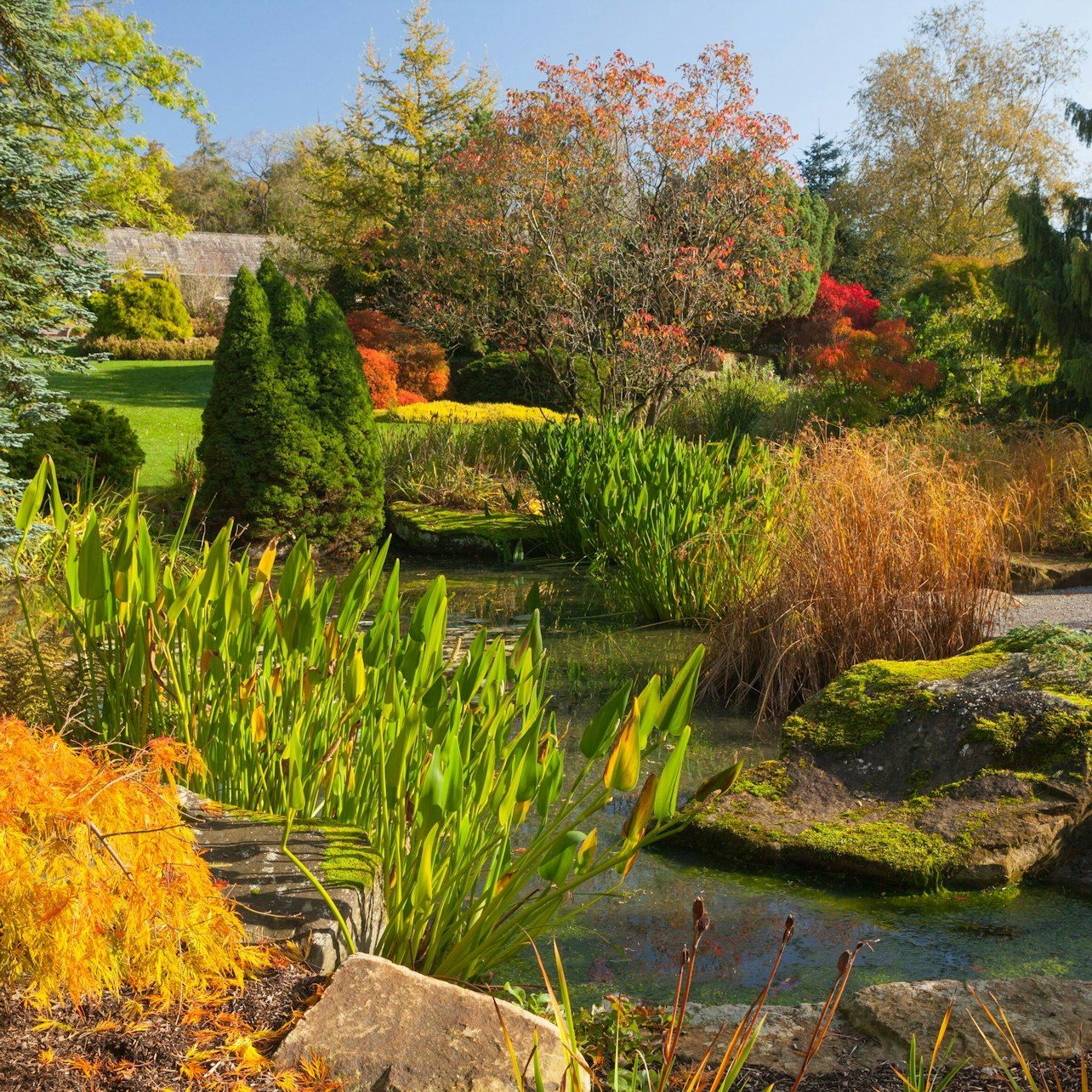 RHS Garden Harlow Carr: Entry Ticket