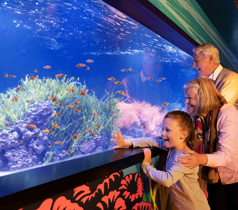 SEA LIFE London Aquarium: Standard Admission Tickets — gallery 1