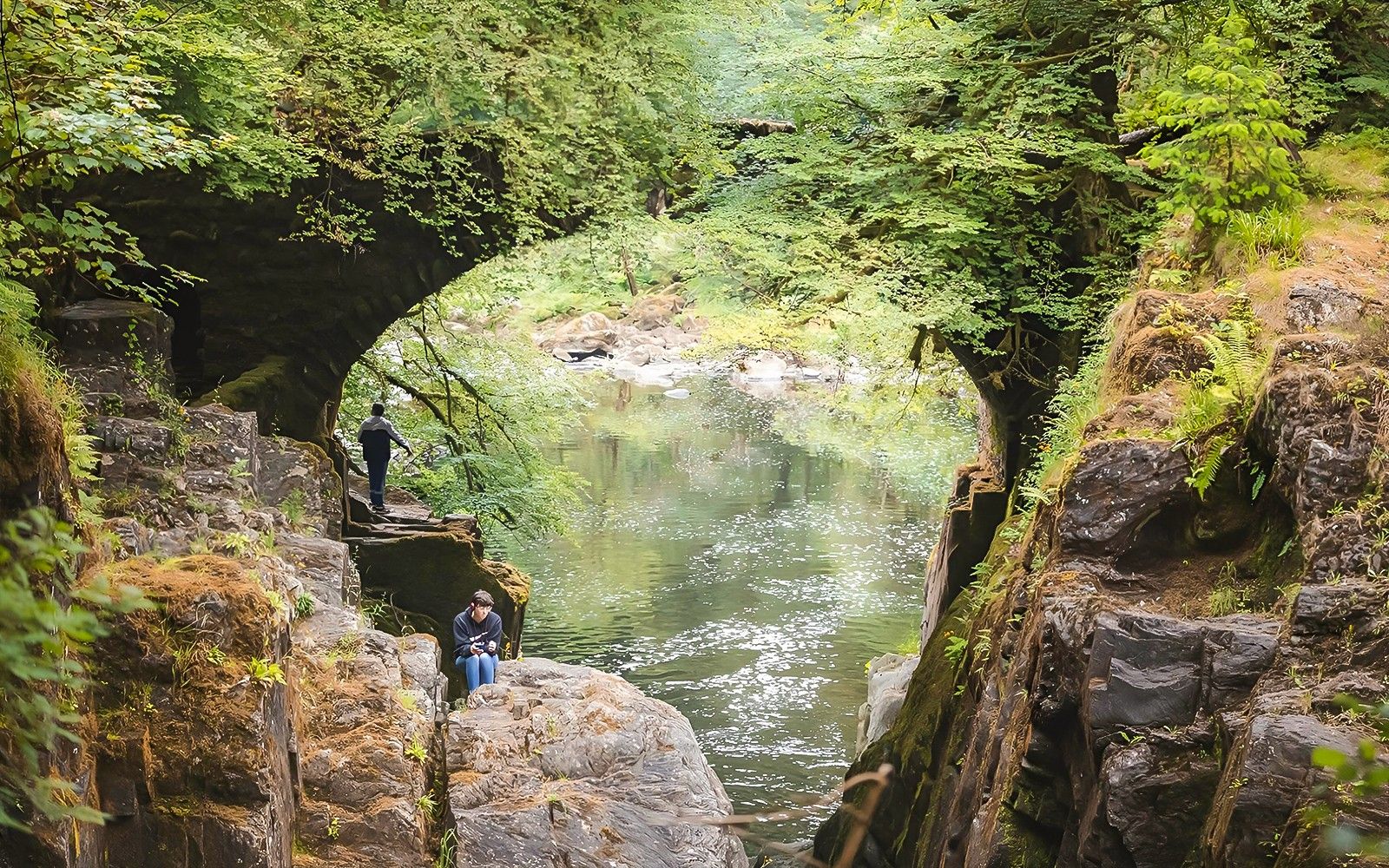 Day Tour Whisky & Waterfalls with Transfers from Edinburgh  & Distillery Entry — gallery 3