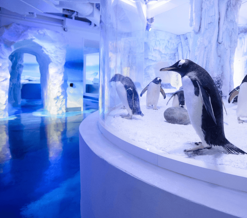 SEA LIFE London Aquarium: Standard Admission Tickets — gallery 2