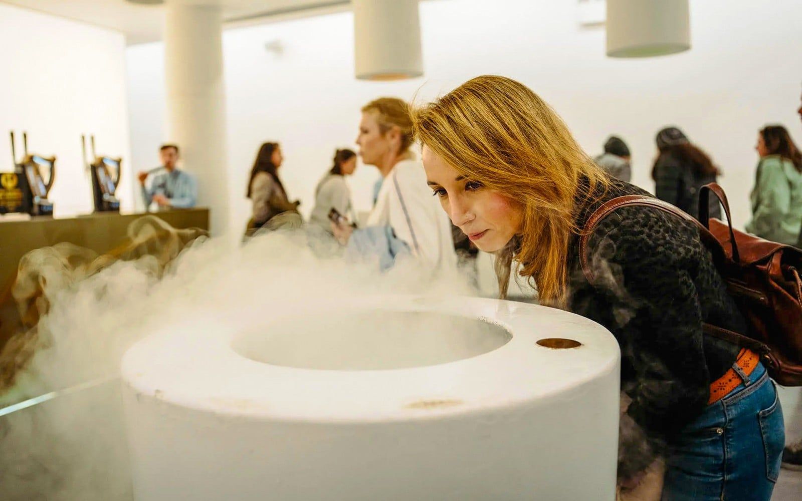 Skip-the-Line Guinness and Jameson Whiskey Guided Tour — gallery 2