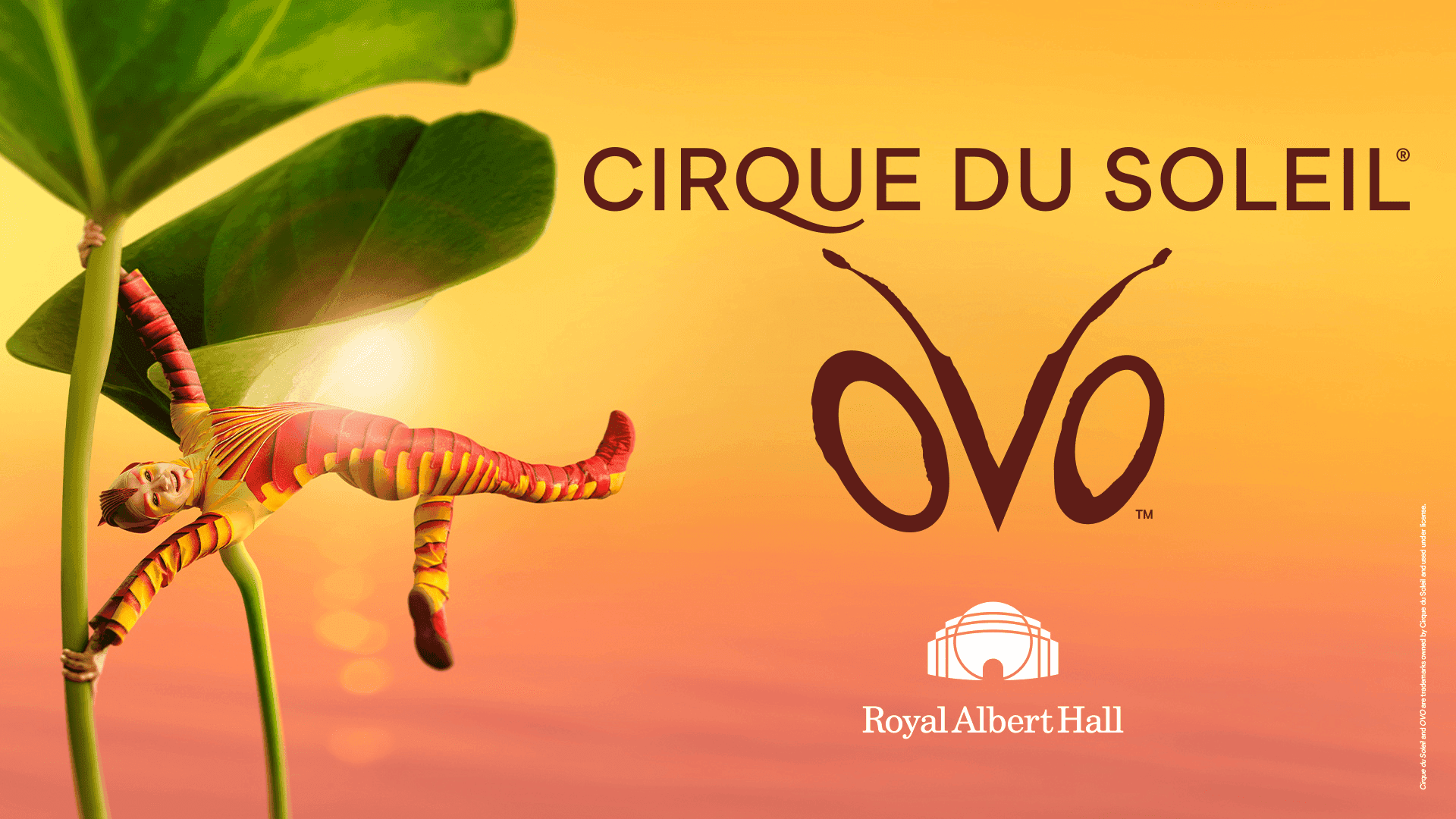 Cirque du Soleil: OVO