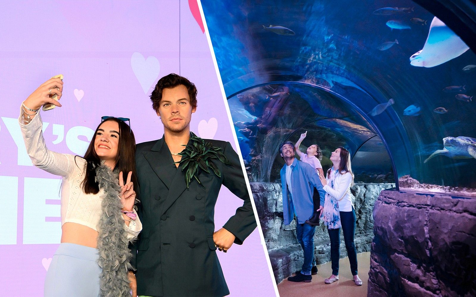 Madame Tussauds London \ Sea Life Aquarium