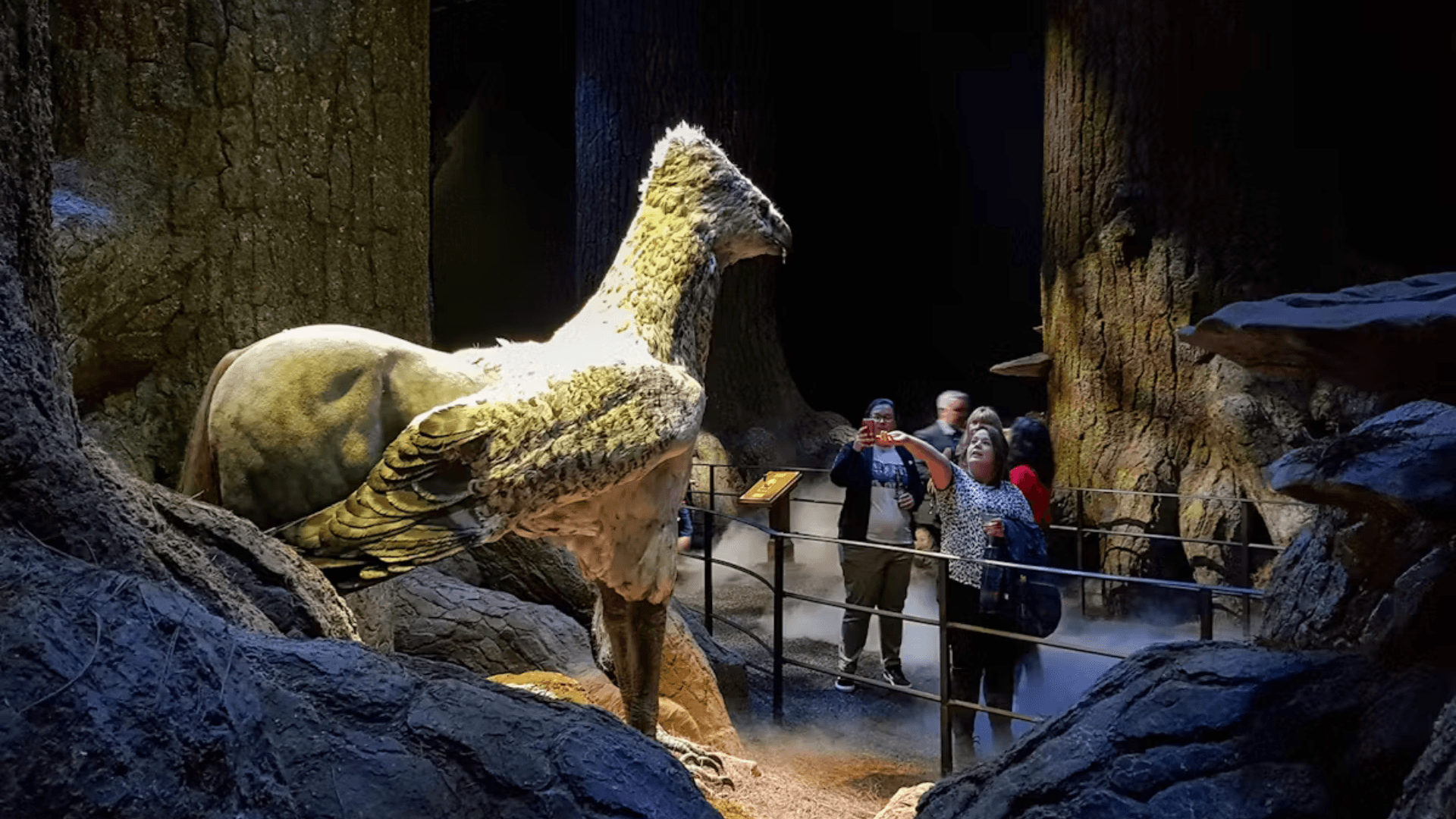Harry Potter Studio Tour & London Film Locations Walking Tour