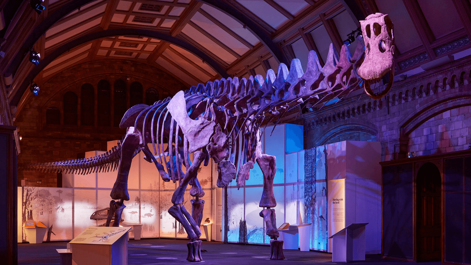 London Natural History Museum Dinosaur Discovery Tour
