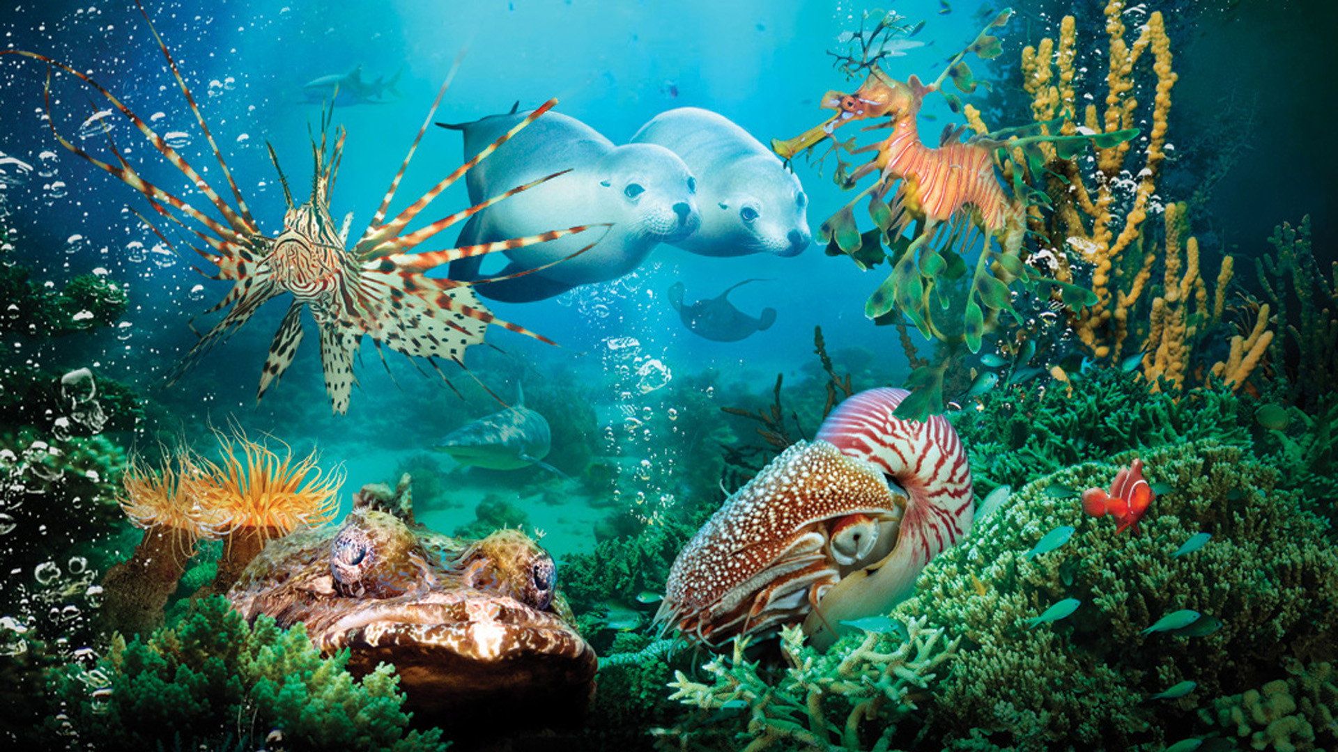 Under the Sea 3D (2009) backdrop