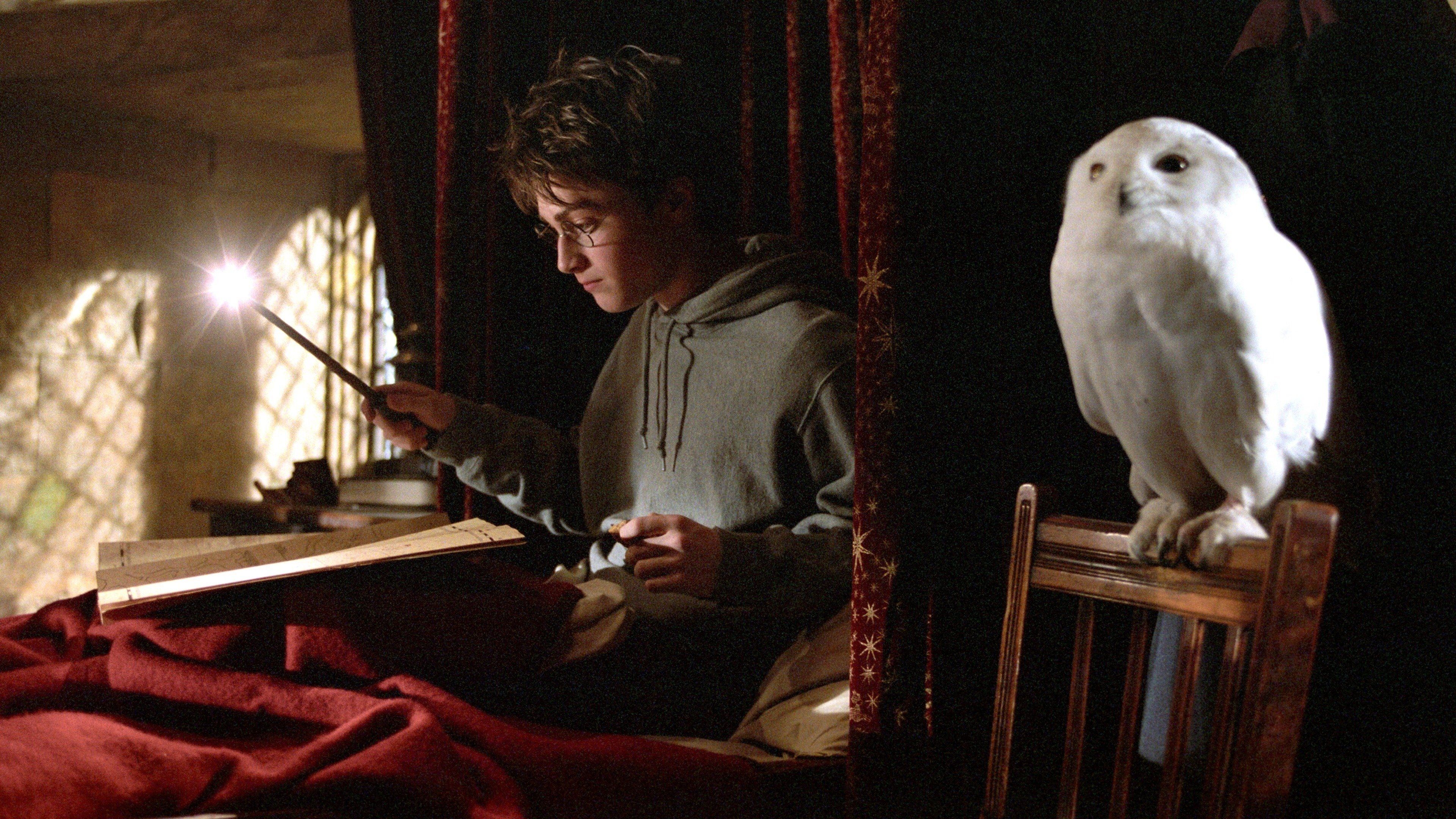 Harry Potter and the Prisoner of Azkaban (2004) backdrop