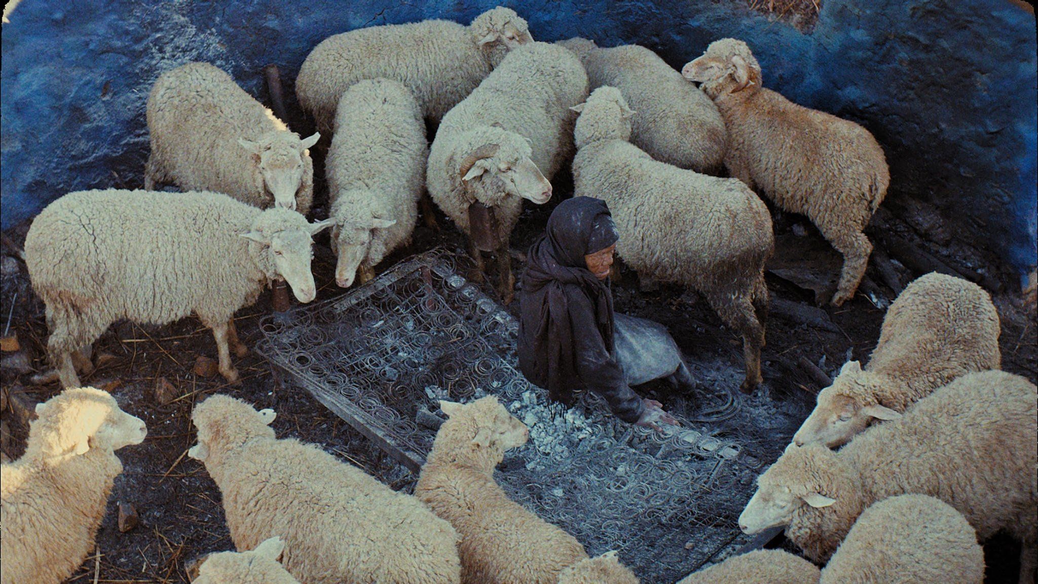 This Is Not a Burial, It's a Resurrection (2019) backdrop