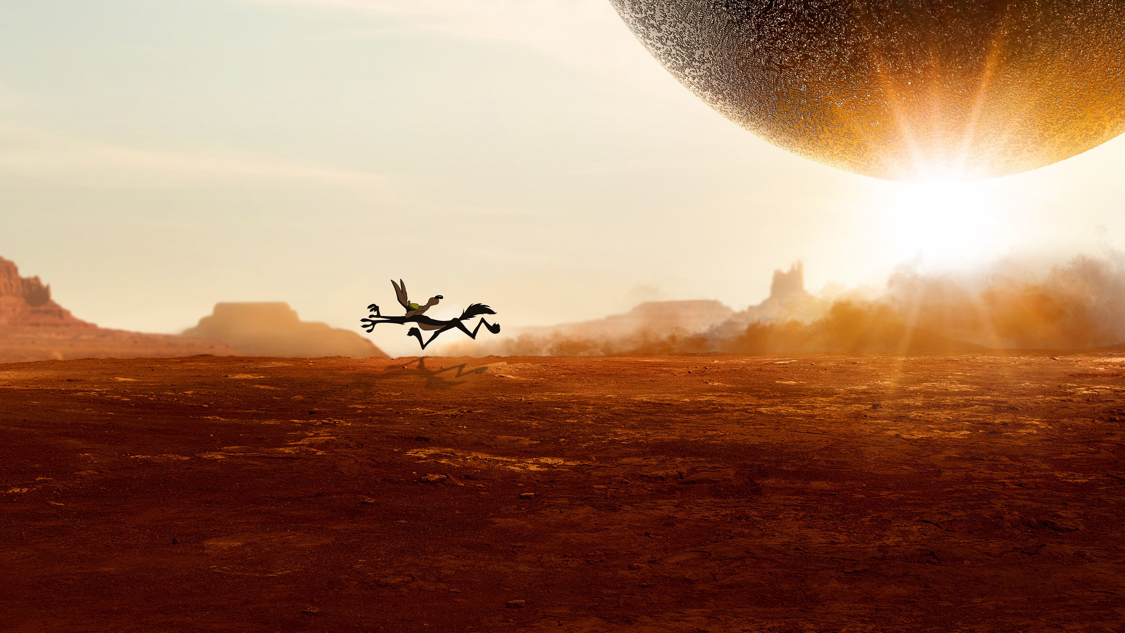 Coyote vs. Acme (2026) backdrop