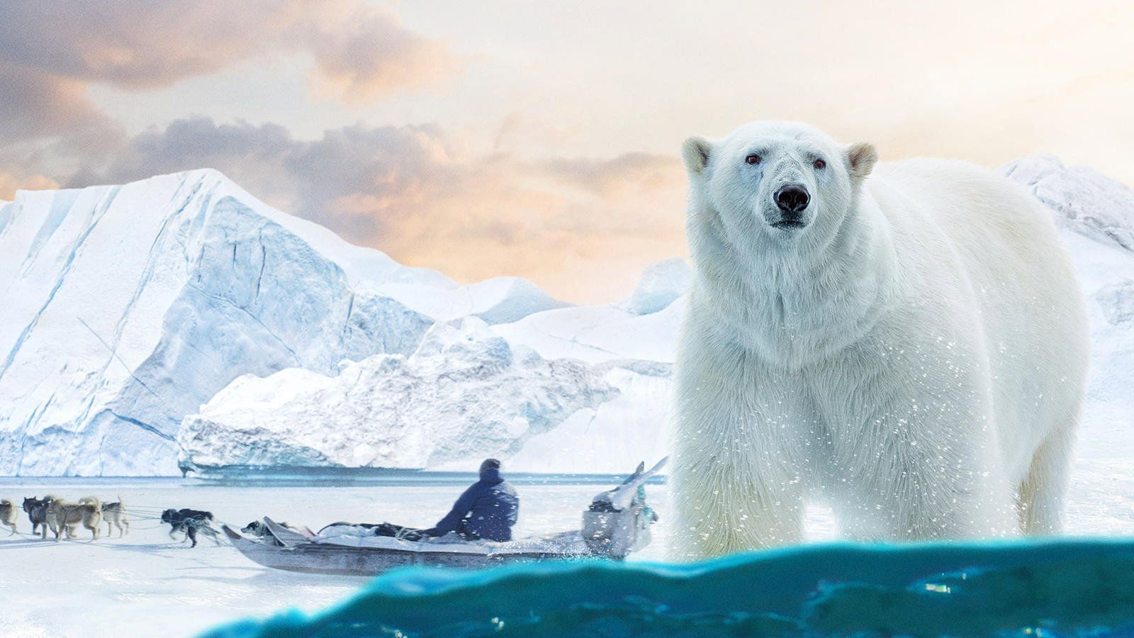 Arctic: Our Frozen Planet (2023) backdrop