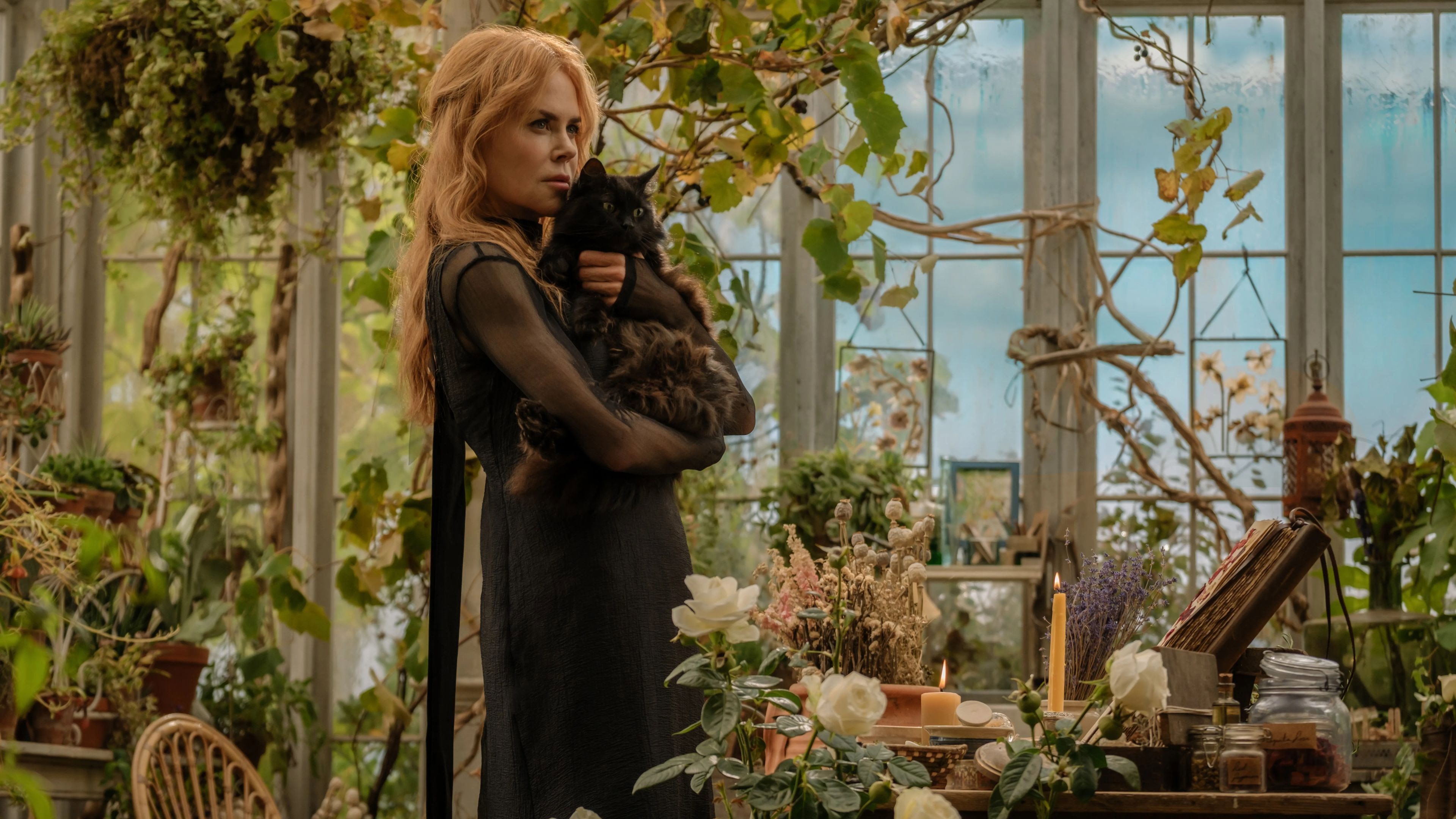Practical Magic 2 (2026) backdrop