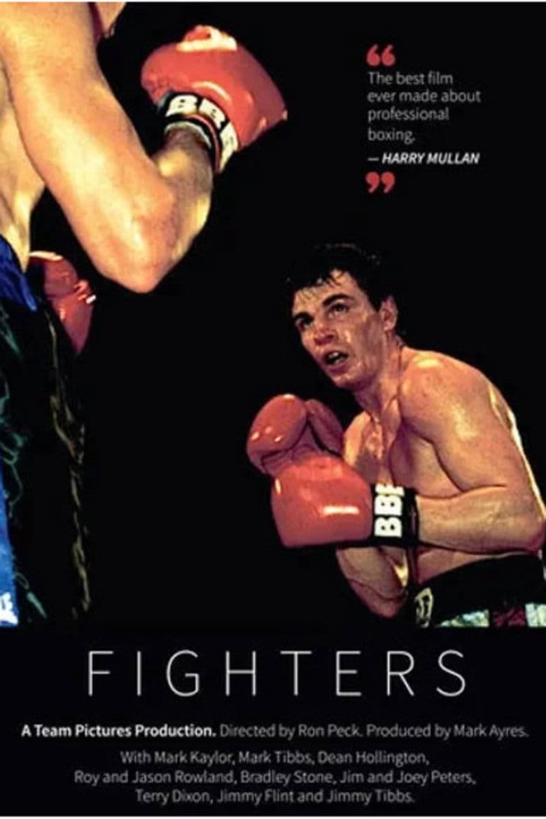 Fighters poster