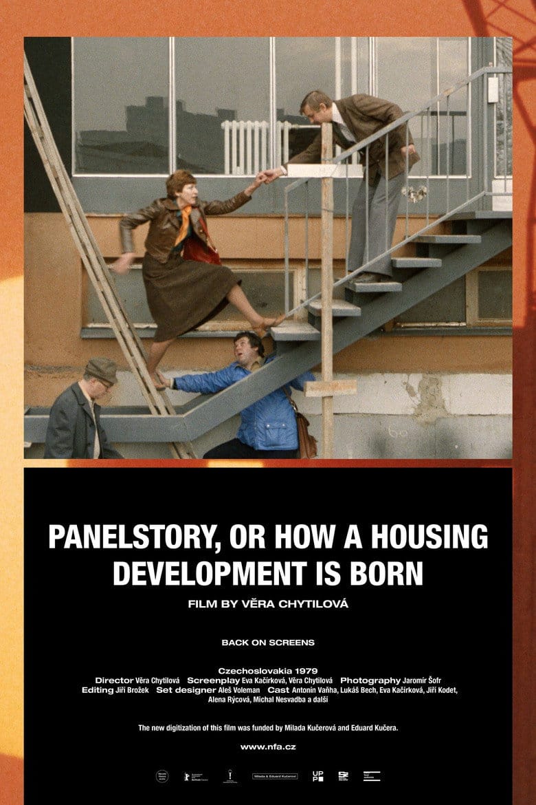 Panelstory or Birth of a Community poster