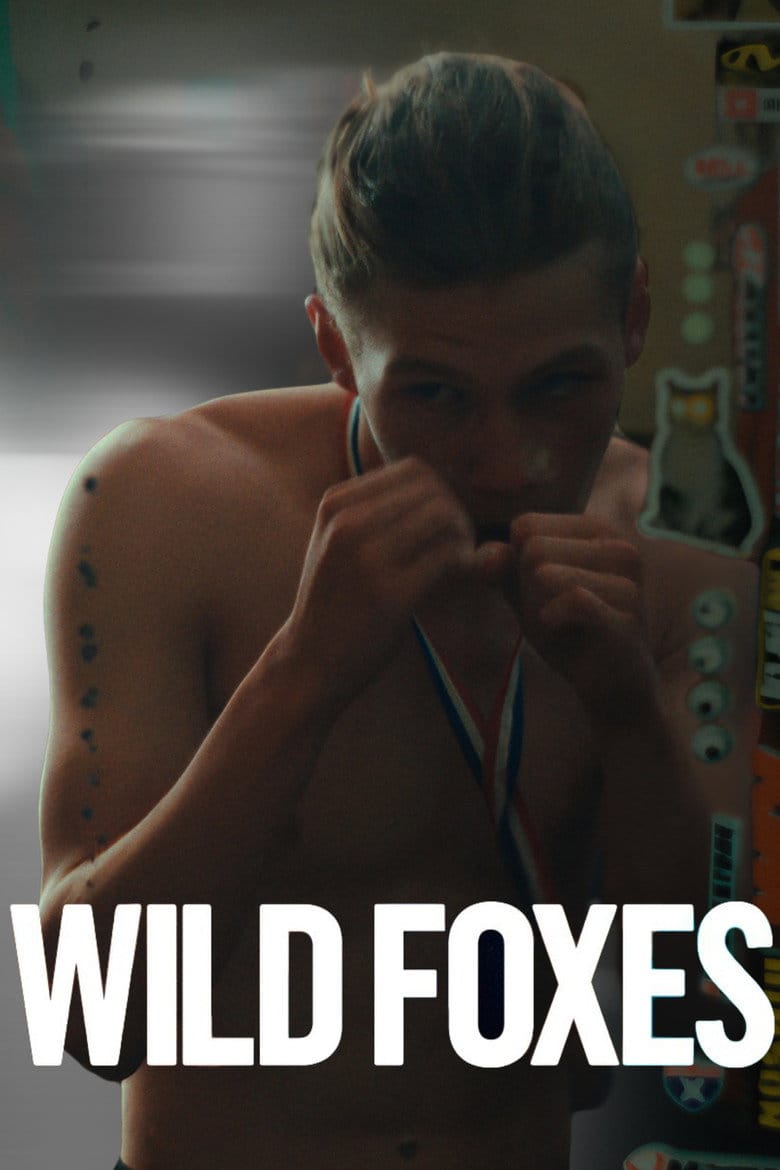 Wild Foxes poster