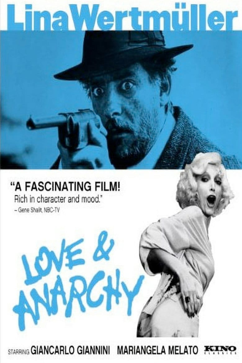 Love & Anarchy poster